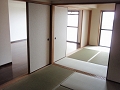 P5090431.jpg