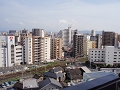 P5100498.jpg